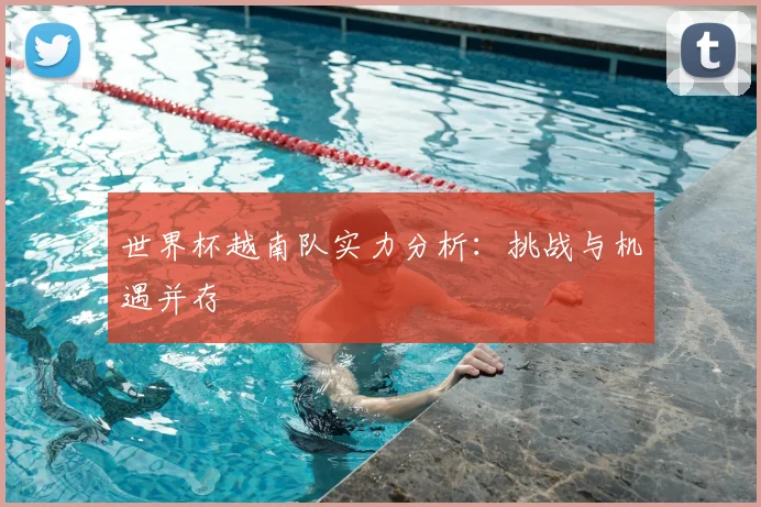 世界杯越南队实力分析：挑战与机遇并存